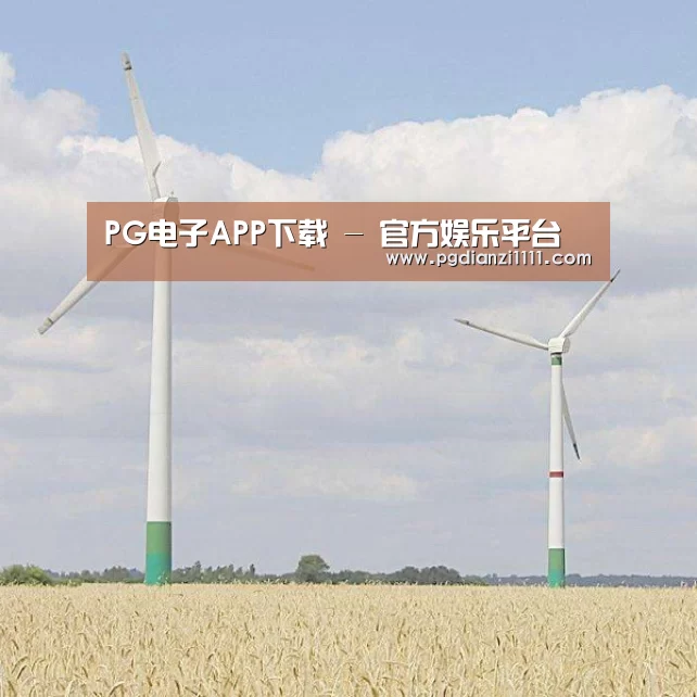 风能