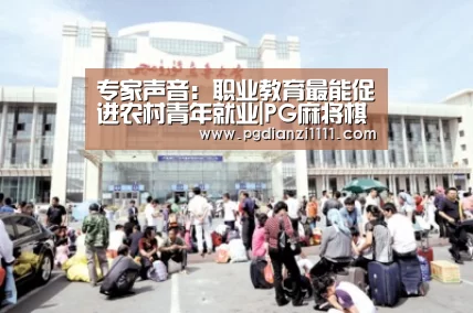 专家声音：职业教育最能促进农村青年就业|PG麻将棋牌