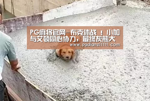 PG电子游戏