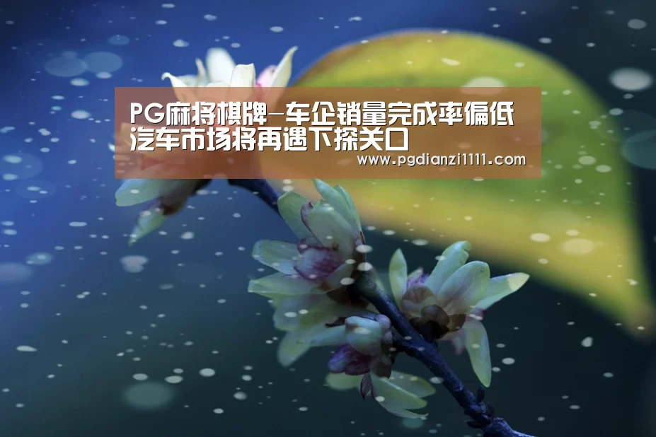 PG麻将官网