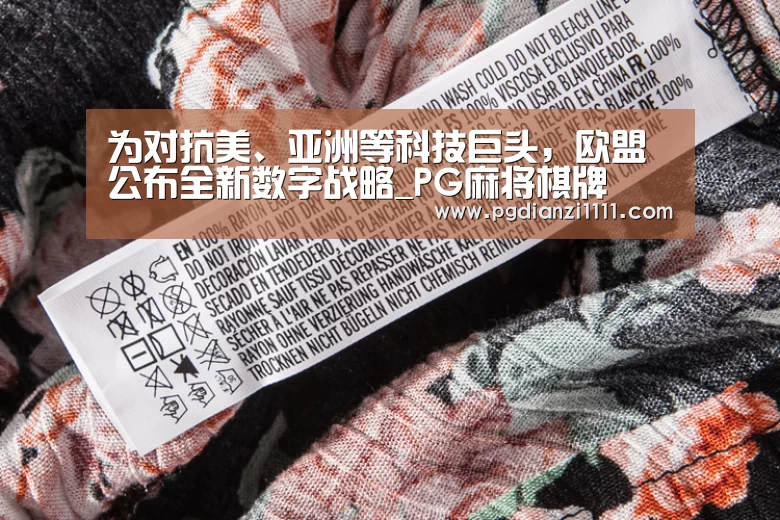 为对抗美、亚洲等科技巨头,欧盟公布全新数字战略_PG麻将棋牌(图3) PG麻将官网