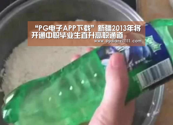 “PG电子APP下载”新疆2013年将开通中职毕业生直升高职通道(图3) PG电子游戏