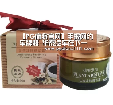 【PG麻将官网】手握网约车牌照 华泰汽车在下一盘什么棋?(图2) PG麻将棋牌