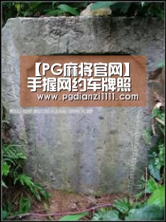 【PG麻将官网】手握网约车牌照 华泰汽车在下一盘什么棋?(图3) PG麻将官网