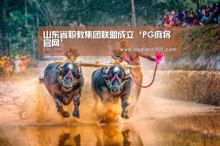 PG麻将棋牌